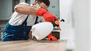 Best Pest Prevention Services  in Eloy, AZ